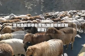 塔城地区额敏县疫情(新疆塔城区额敏县)