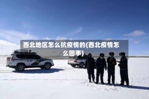 西北地区怎么抗疫情的(西北疫情怎么回事)