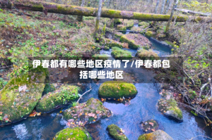 伊春都有哪些地区疫情了/伊春都包括哪些地区