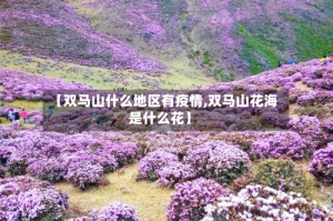 【双马山什么地区有疫情,双马山花海是什么花】