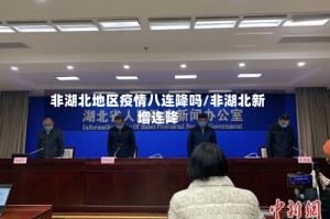 非湖北地区疫情八连降吗/非湖北新增连降