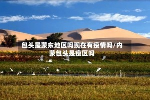 包头是蒙东地区吗现在有疫情吗/内蒙包头是疫区吗