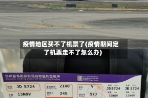 疫情地区买不了机票了(疫情期间定了机票走不了怎么办)
