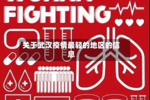 关于武汉疫情最轻的地区的信息