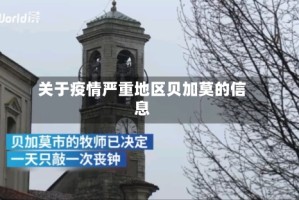 关于疫情严重地区贝加莫的信息