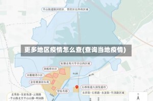 更多地区疫情怎么查(查询当地疫情)