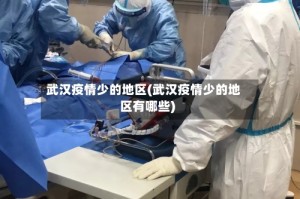 武汉疫情少的地区(武汉疫情少的地区有哪些)