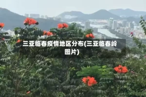 三亚临春疫情地区分布(三亚临春岭图片)