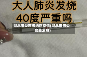 湖北肺炎市级地区疫情(湖北市肺炎最新消息)