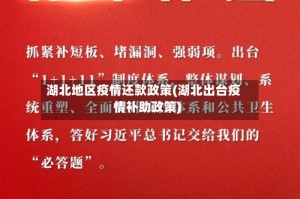 湖北地区疫情还款政策(湖北出台疫情补助政策)