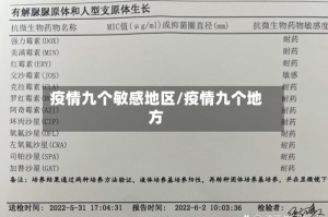 疫情九个敏感地区/疫情九个地方