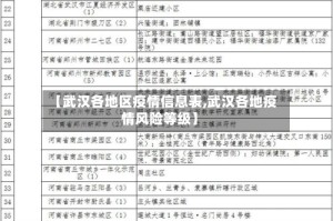 【武汉各地区疫情信息表,武汉各地疫情风险等级】