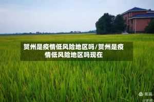 贺州是疫情低风险地区吗/贺州是疫情低风险地区吗现在