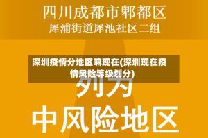 深圳疫情分地区嘛现在(深圳现在疫情风险等级划分)
