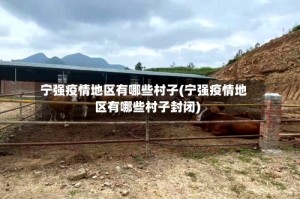 宁强疫情地区有哪些村子(宁强疫情地区有哪些村子封闭)