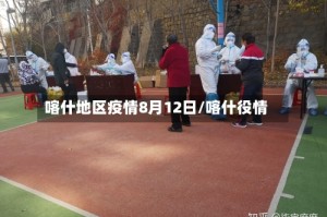喀什地区疫情8月12日/喀什役情