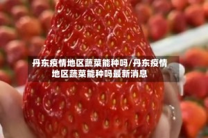 丹东疫情地区蔬菜能种吗/丹东疫情地区蔬菜能种吗最新消息