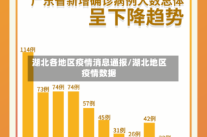 湖北各地区疫情消息通报/湖北地区疫情数据