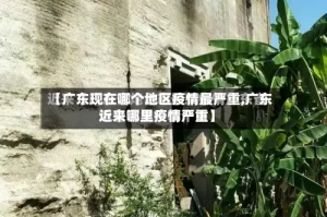 【广东现在哪个地区疫情最严重,广东近来哪里疫情严重】