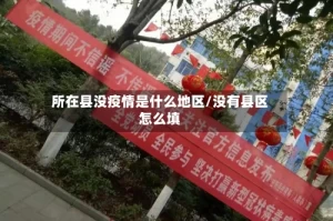 所在县没疫情是什么地区/没有县区怎么填