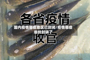 国内疫情哪些地区已封闭/疫情哪些省份封锁了