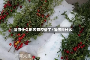 蒲河什么地区有疫情了/蒲河是什么
