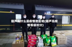 葫芦岛什么是疫情地区呢(葫芦岛疫情等级划分)