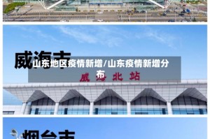 山东地区疫情新增/山东疫情新增分布