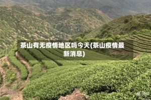 茶山有无疫情地区吗今天(茶山疫情最新消息)