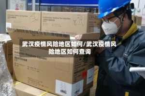 武汉疫情风险地区如何/武汉疫情风险地区如何查询