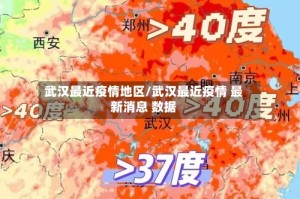 武汉最近疫情地区/武汉最近疫情 最新消息 数据