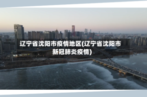 辽宁省沈阳市疫情地区(辽宁省沈阳市新冠肺炎疫情)