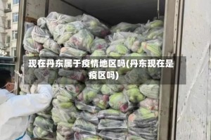 现在丹东属于疫情地区吗(丹东现在是疫区吗)