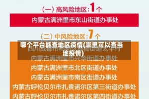 哪个平台能查地区疫情(哪里可以查当地疫情)