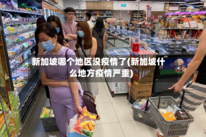 新加坡哪个地区没疫情了(新加坡什么地方疫情严重)