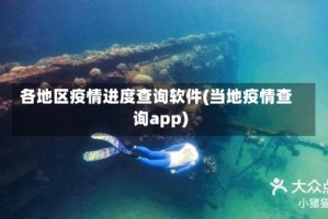 各地区疫情进度查询软件(当地疫情查询app)