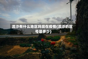 流沙有什么地区吗现在疫情(流沙的区号是多少)