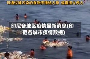 印尼各地区疫情最新消息(印尼各城市疫情数据)