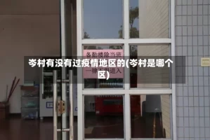 岑村有没有过疫情地区的(岑村是哪个区)