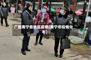 广西南宁各地区疫情(南宁市役情分布)