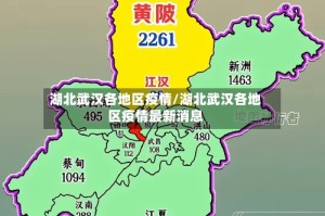 湖北武汉各地区疫情/湖北武汉各地区疫情最新消息