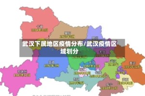 武汉下属地区疫情分布/武汉疫情区域划分