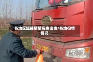 各地区域疫情情况查询表/各地役情情况