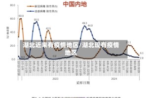 湖北近来有疫情地区/湖北现有疫情地区