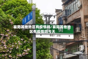 襄阳其他地区有疫情吗/襄阳其他地区有疫情吗今天