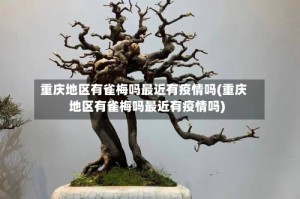 重庆地区有雀梅吗最近有疫情吗(重庆地区有雀梅吗最近有疫情吗)