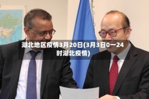 湖北地区疫情3月20日(3月3日0一24时湖北疫情)