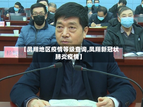 【凤翔地区疫情等级查询,凤翔新冠状肺炎疫情】-第1张图片