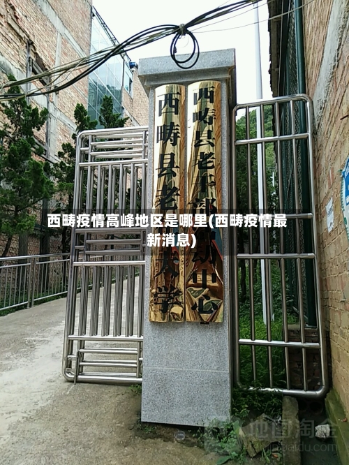 西畴疫情高峰地区是哪里(西畴疫情最新消息)-第3张图片