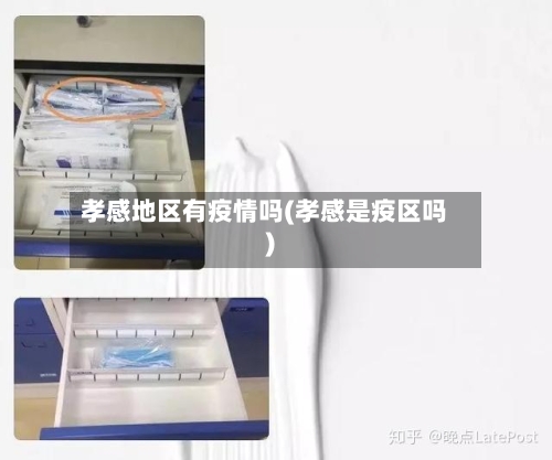 孝感地区有疫情吗(孝感是疫区吗)-第1张图片